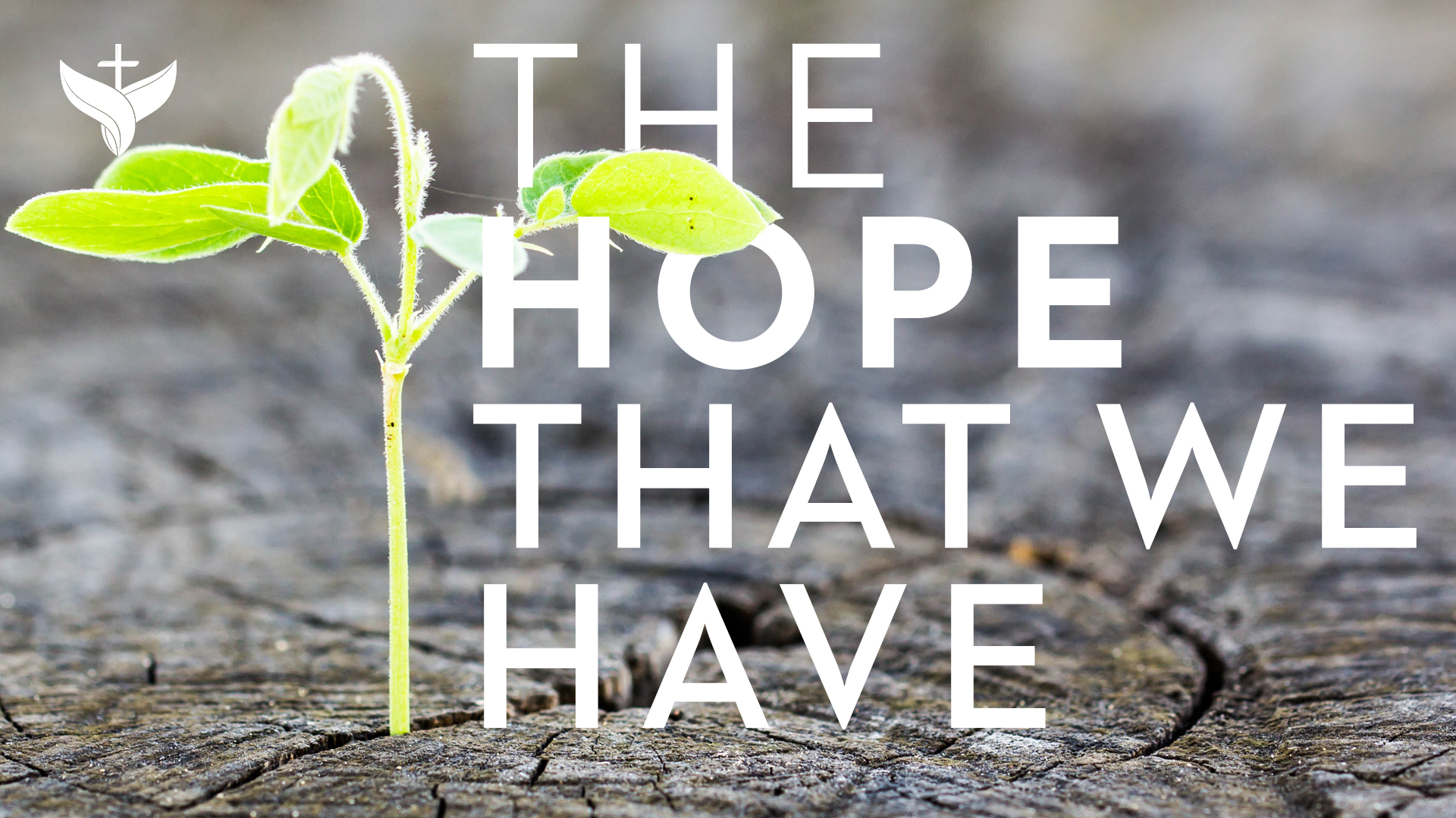 The Hope that We Have